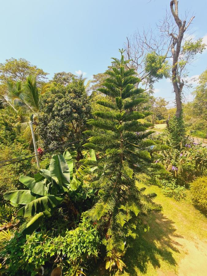 Peacock Villa Resort Udawalawe Eksteriør bilde