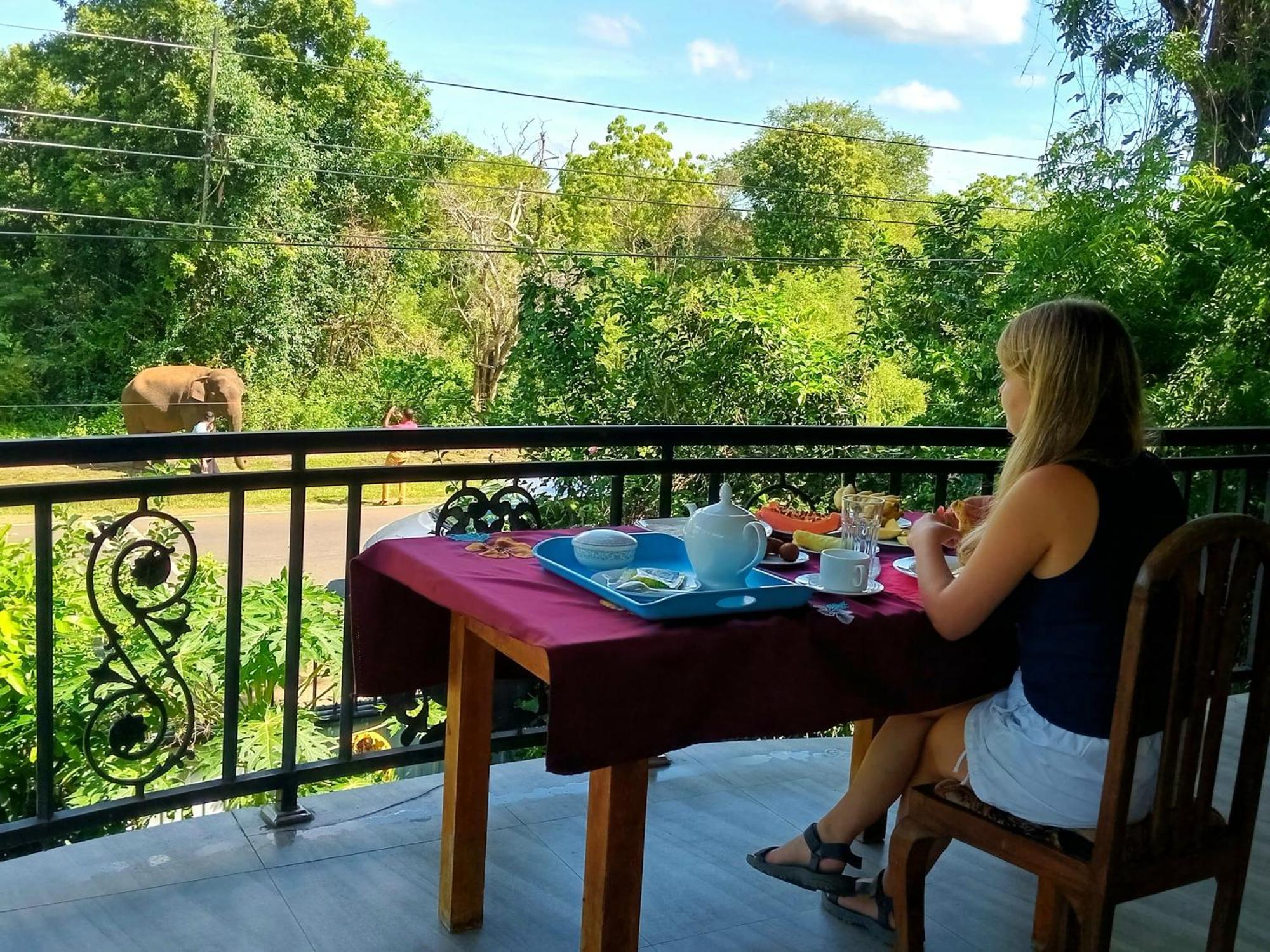 Peacock Villa Resort Udawalawe Eksteriør bilde